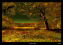Golden Light